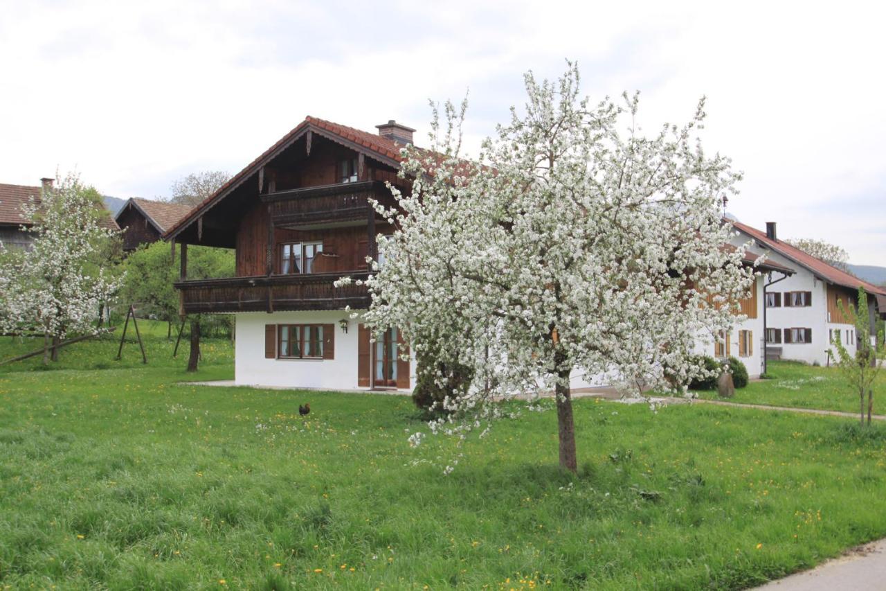Farm stay Mayerbauer