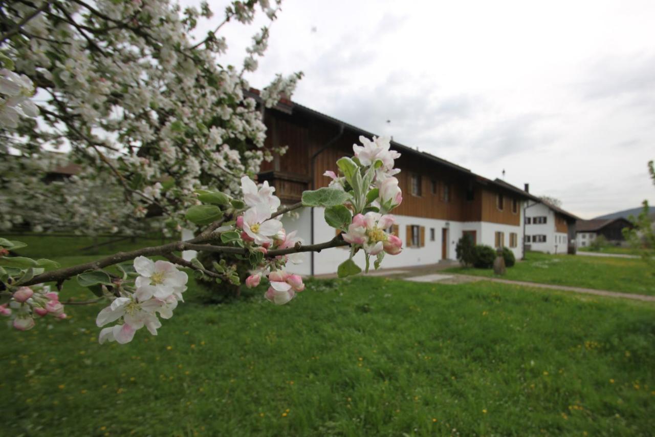 Farm stay Mayerbauer *